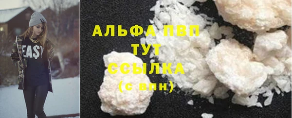 PSILOCYBIN Горняк