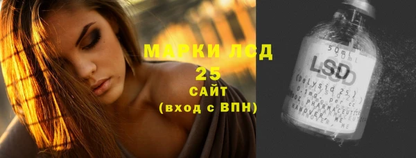 PSILOCYBIN Горняк