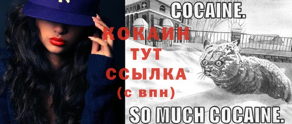 PSILOCYBIN Горняк
