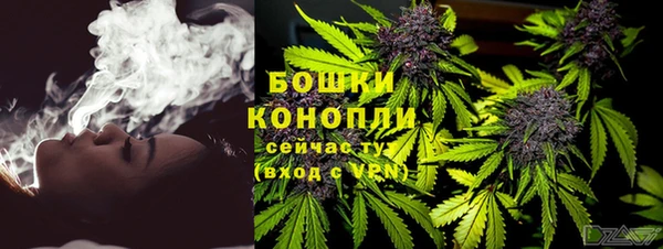 PSILOCYBIN Горняк