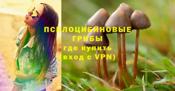 PSILOCYBIN Горняк