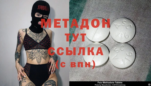 PSILOCYBIN Горняк