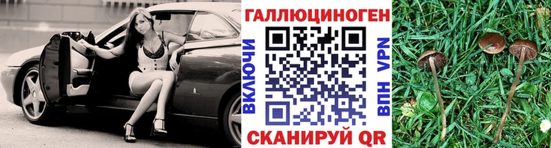 Галлюциногенные грибы Psilocybine cubensis  Боровск 